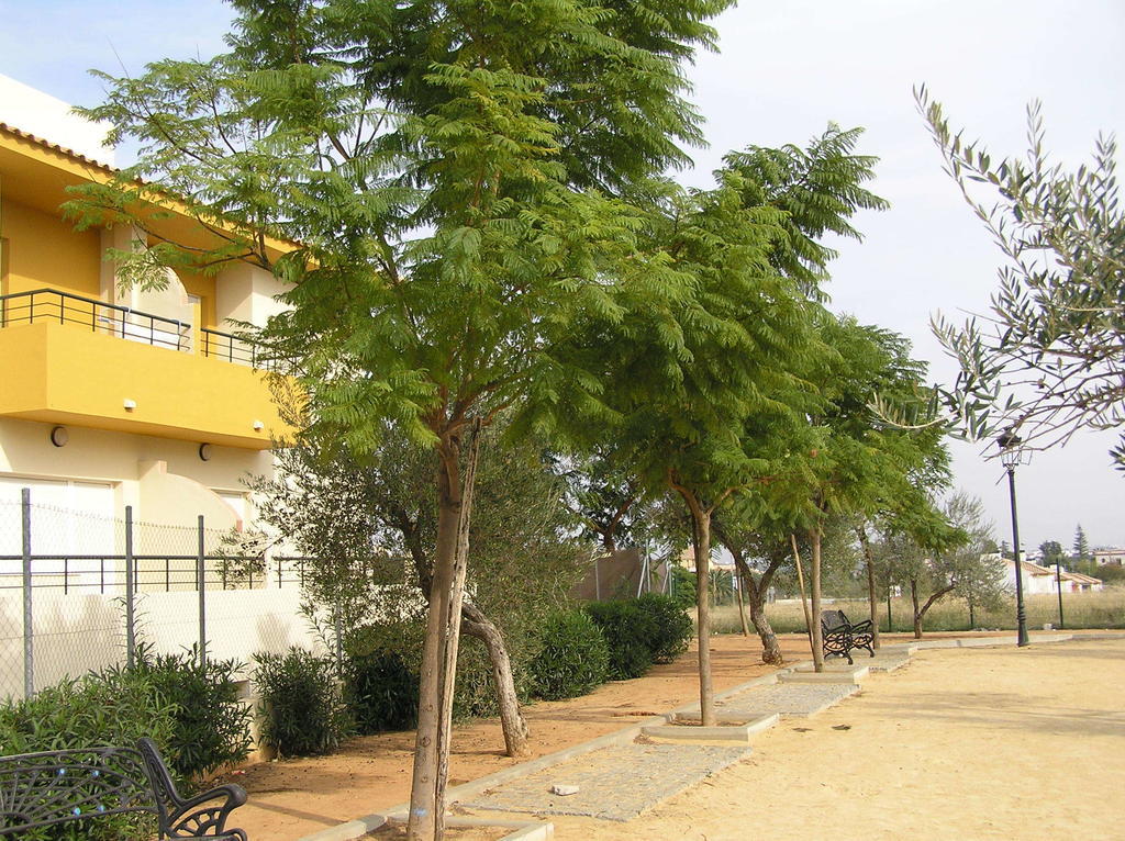 Apartamentos Turisticos Los Girasoles Espartinas Luaran gambar
